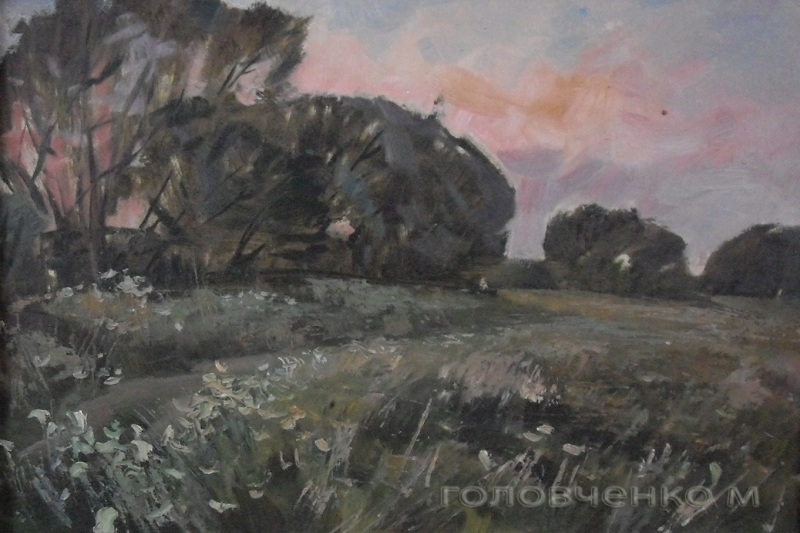 Вечер-в-лугах