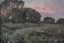 Вечер-в-лугах