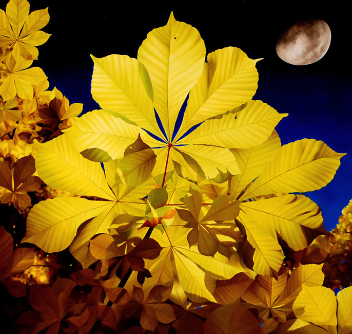 Замок эскузана