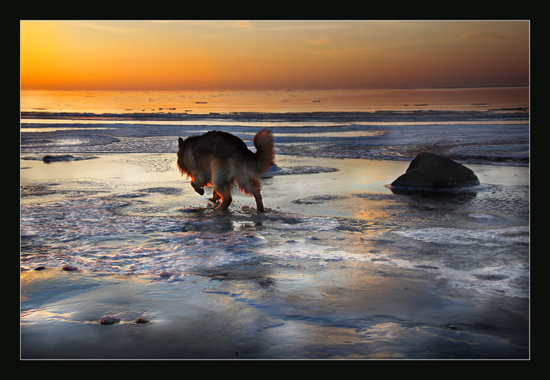 Уходящий за солнцем ....