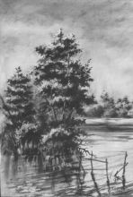 Берег Днепра