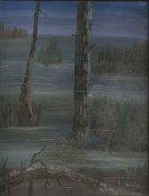 Болото в Новолисино