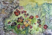 Темноглазки