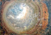 чеширский кот