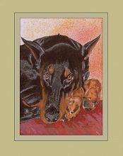 Семенов Александр Васильевич