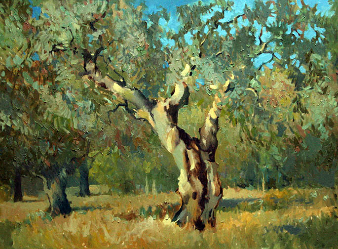 Оливковое дерево