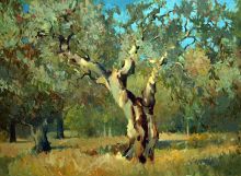 Оливковое дерево