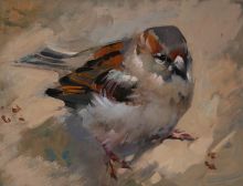 Сытый воробей