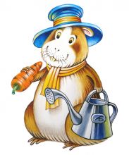 Морской свин. Слуга Кролика