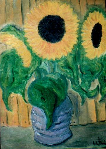 Подсолнухи