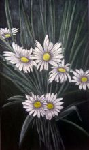 Ромашки - Мотыльки