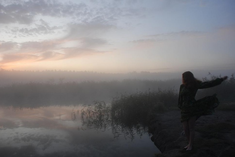 Без названия