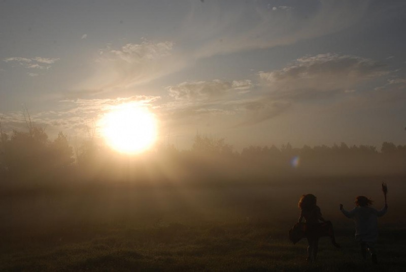 На встречу солнцу.