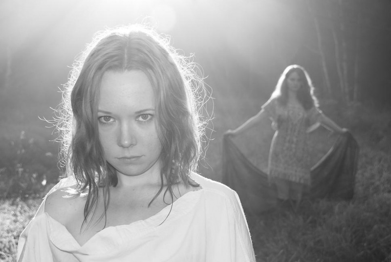 Утро в лесу