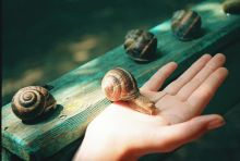 Я тебе доверяю