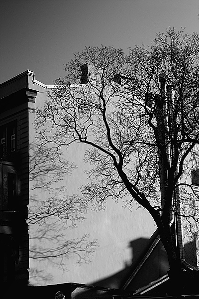 Руками прислонившись к стене (2009)