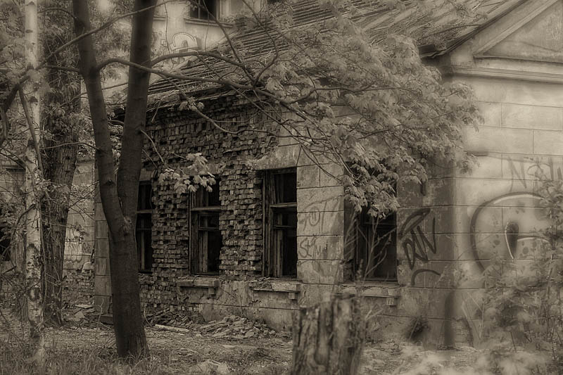 Старый дом (2009)