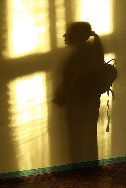 Девушка-тень (2008)