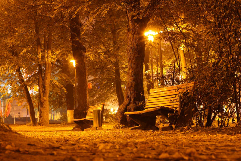 Золото Осени (2008)