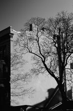 Руками прислонившись к стене (2009)