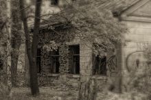 Старый дом (2009)