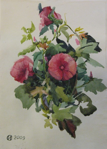 розовые цветы