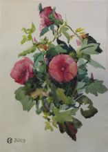 розовые цветы