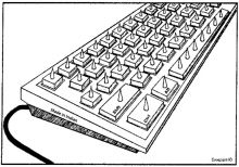 Карикатура