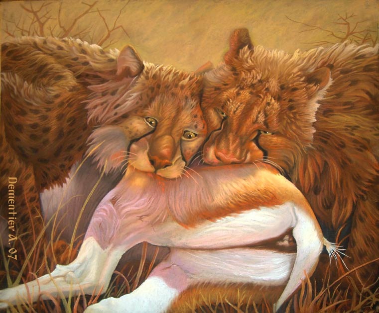 Пиршество гепардов