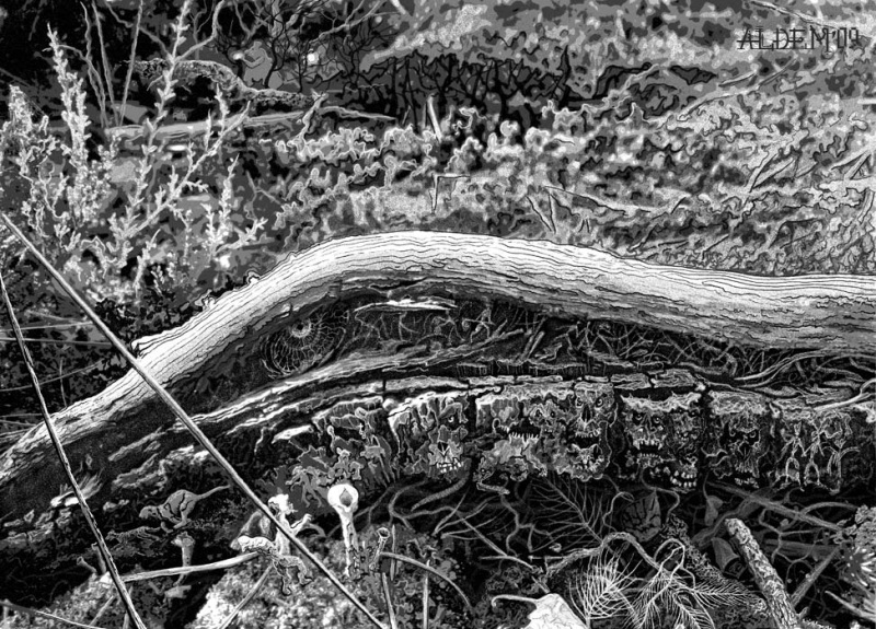 Цивилизация