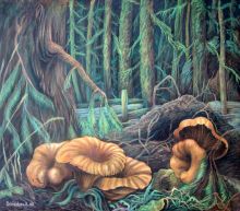 Лисички под сосной