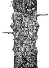 Сосна звериных душ 