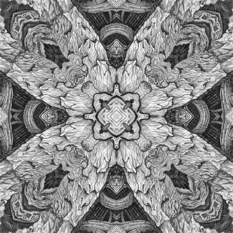 Древоархитектоника-2