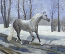 Крепыш на прогулке