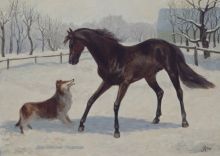 Зимние игры