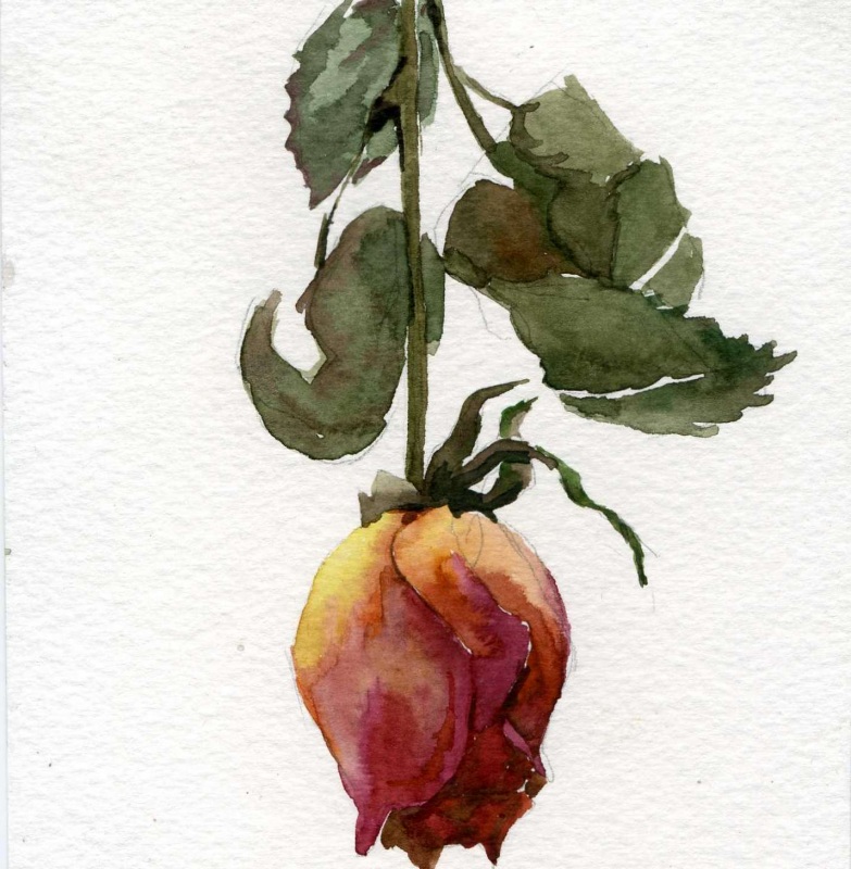 Красивое увядание.