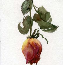 Красивое увядание.