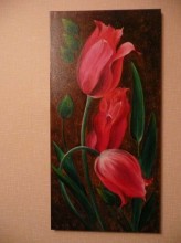 Tulips