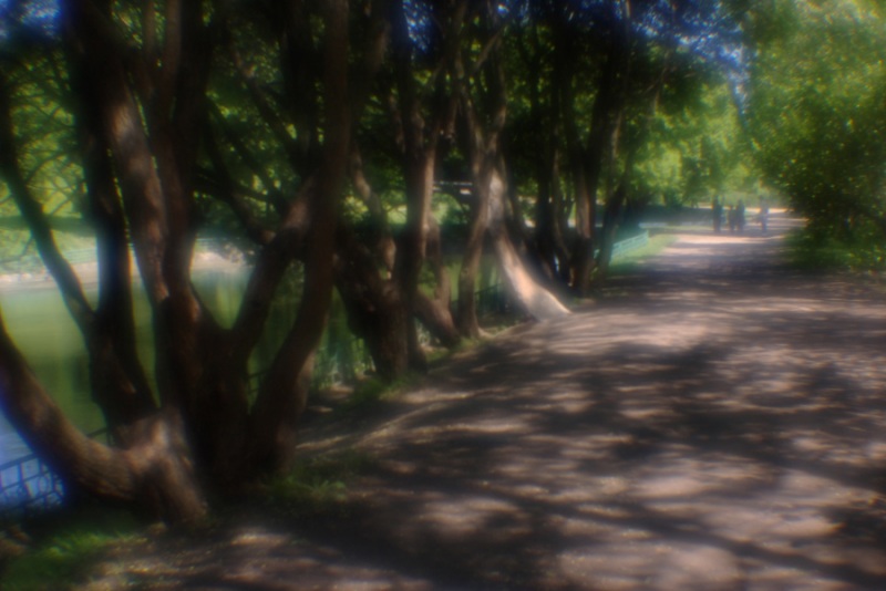 Деревья у пруда(монокль).