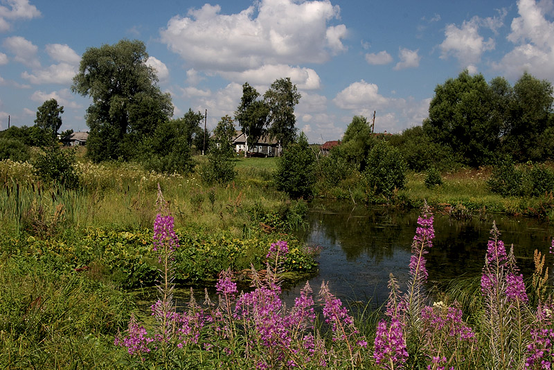 Деревенский пруд.