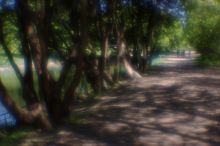 Деревья у пруда(монокль).