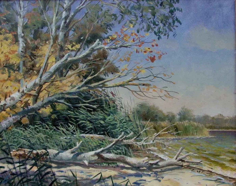 Пикник на Ясенке