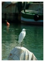 из серии"Рассказы о море".