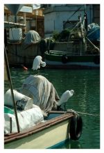 из серии"Рассказы о море".