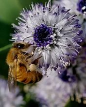 из серии"Маленькие этюды большого леса".
