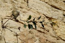 из серии"Между прошлым и будущим".