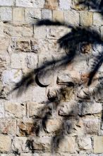 "Тени Иерусалима".