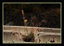 "Между прошлым и будущим".