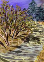 Полдень в августе