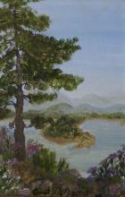 Горная сосна